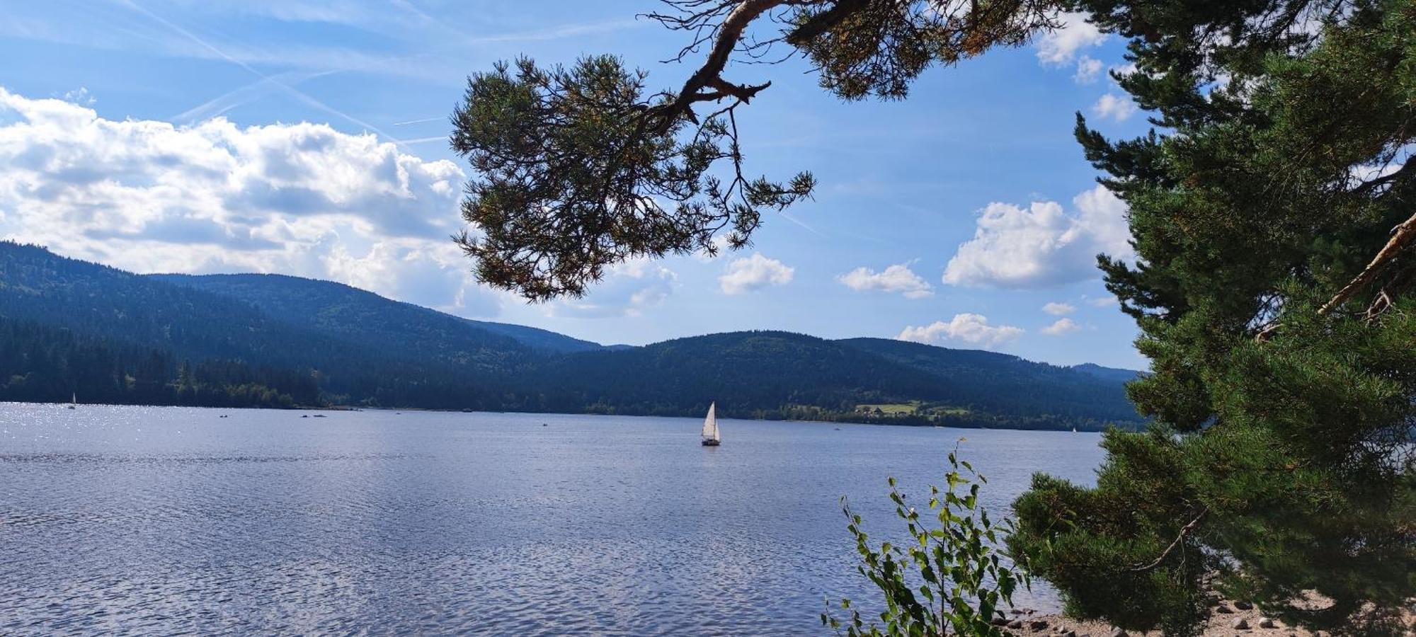 Am Berg Apartment Фелдберг Екстериор снимка